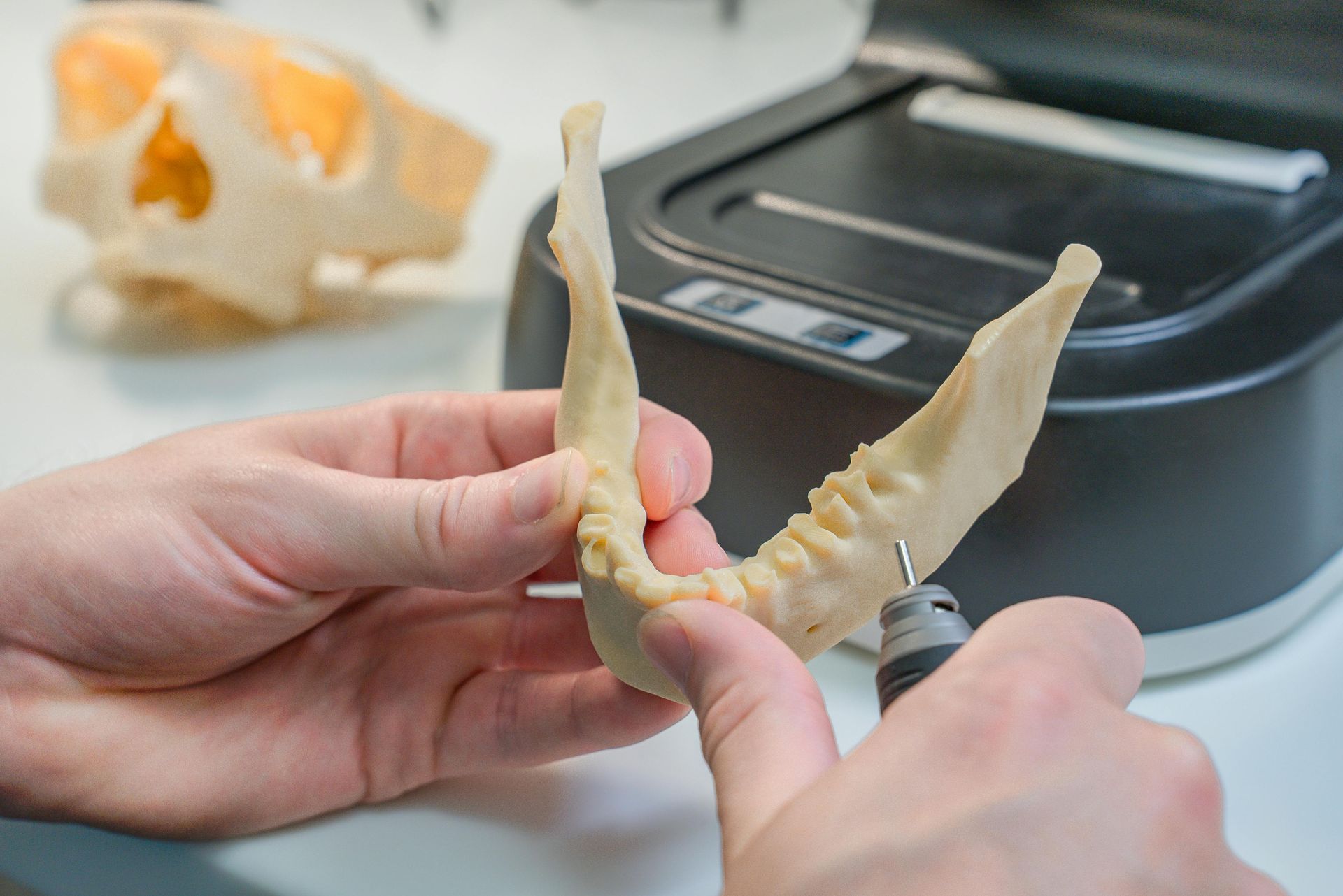 Hands use a rotary tool to refine a 3D-printed jaw model, with a cranium model visible in the blurred background.