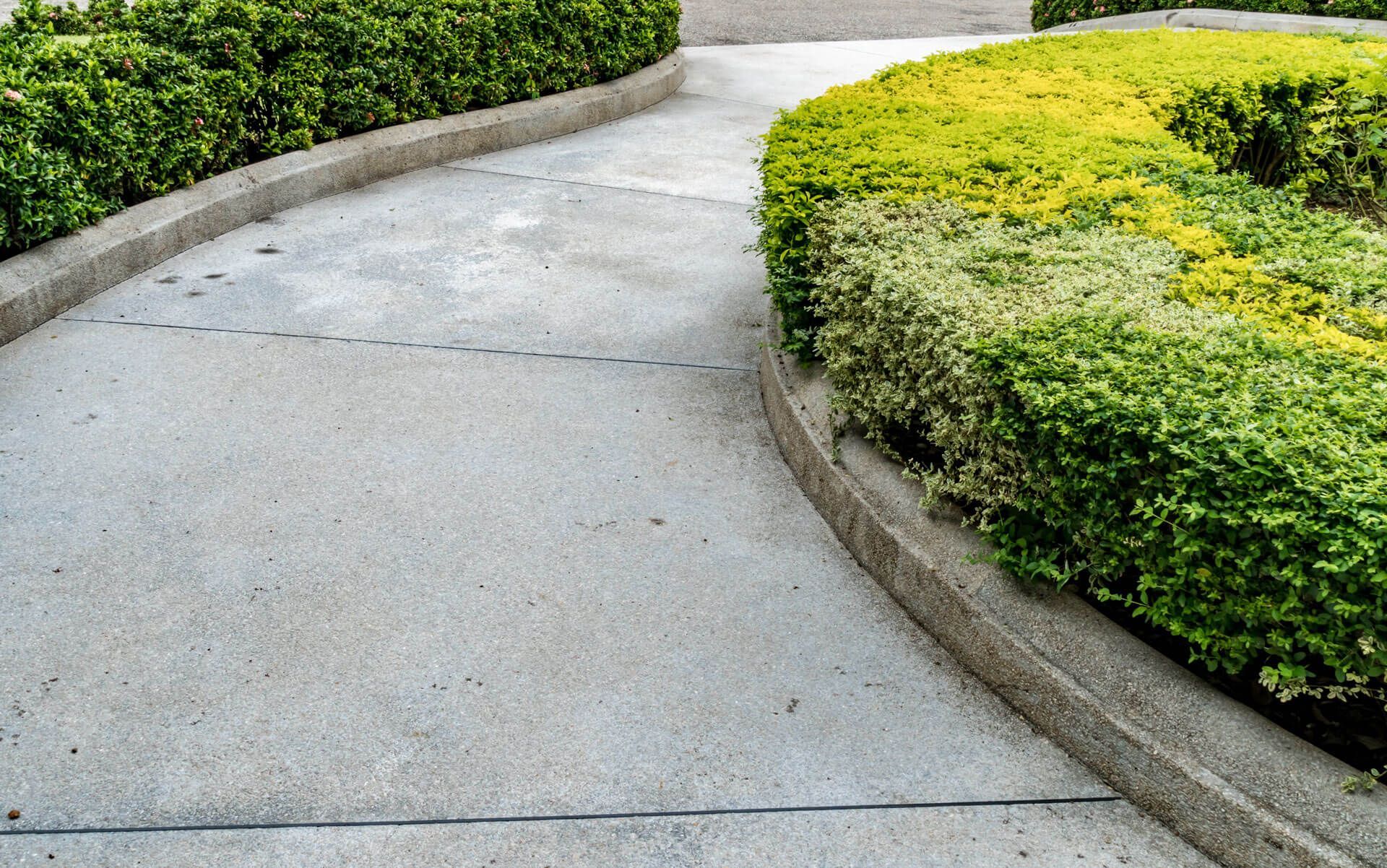 A concrete walkway with a bush on the side of it.