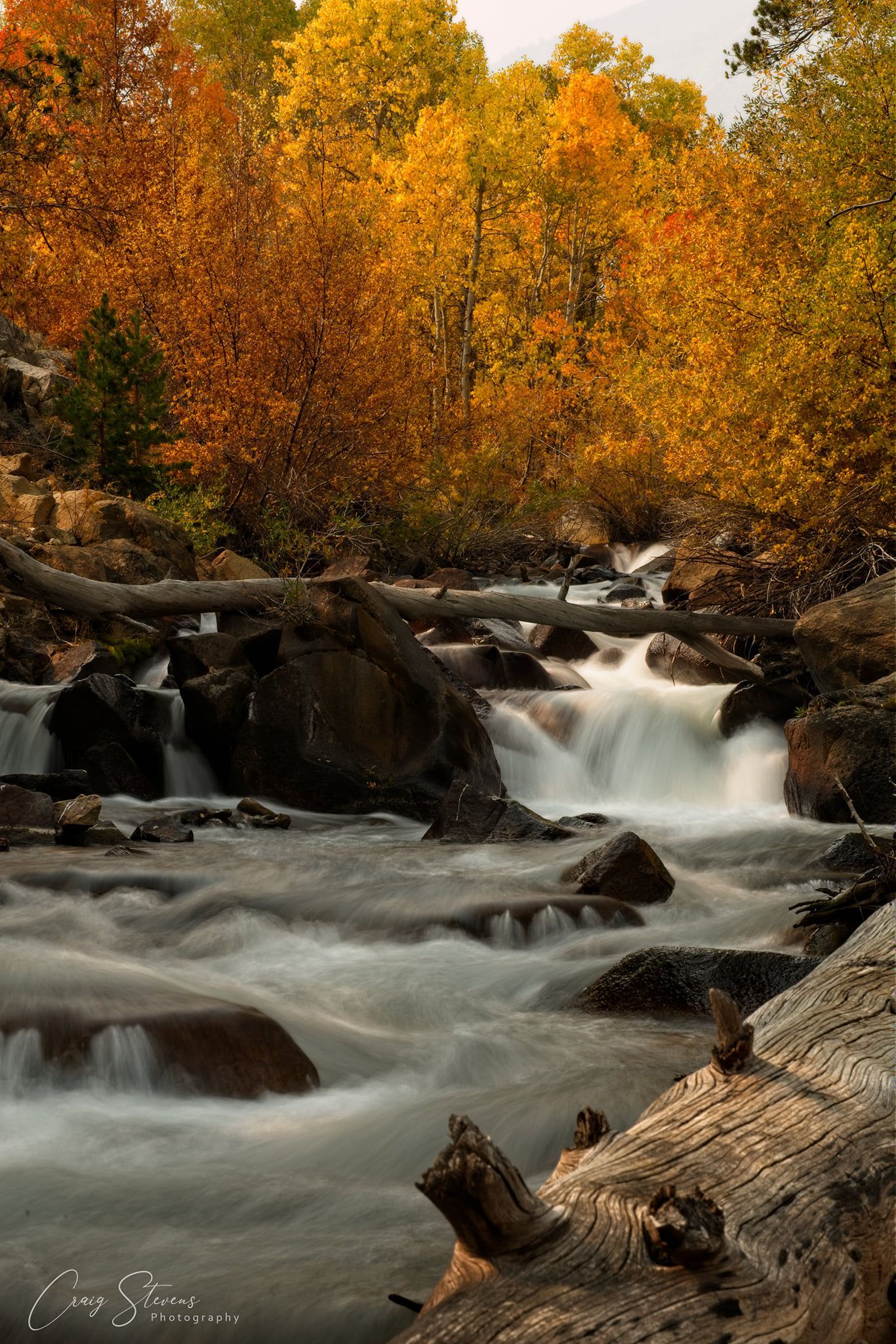Autumn Forest Stream With Cascading Water Over Rocks — Craig Stevens Photography in Sydney, NSW