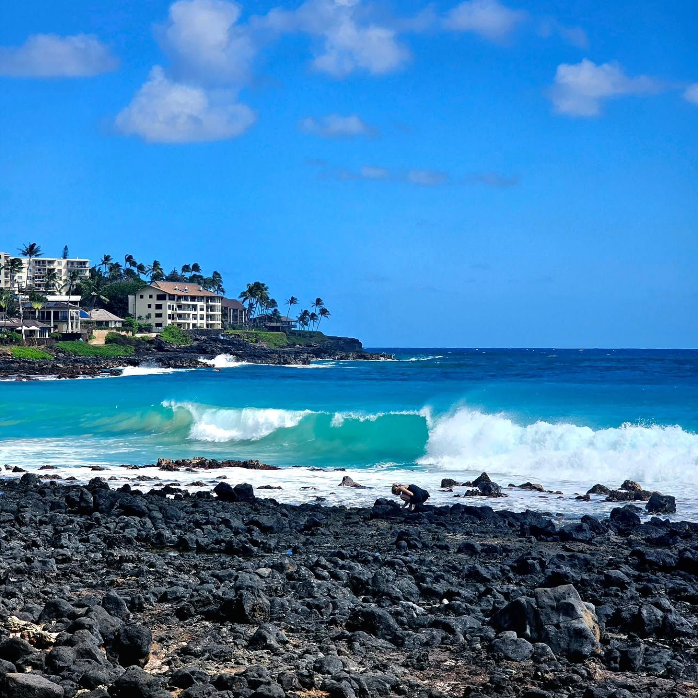 Blue Ocean Waves Break Against a Rocky Shore Near Beachfront Buildings — Craig Stevens Photography in Sydney, NSW