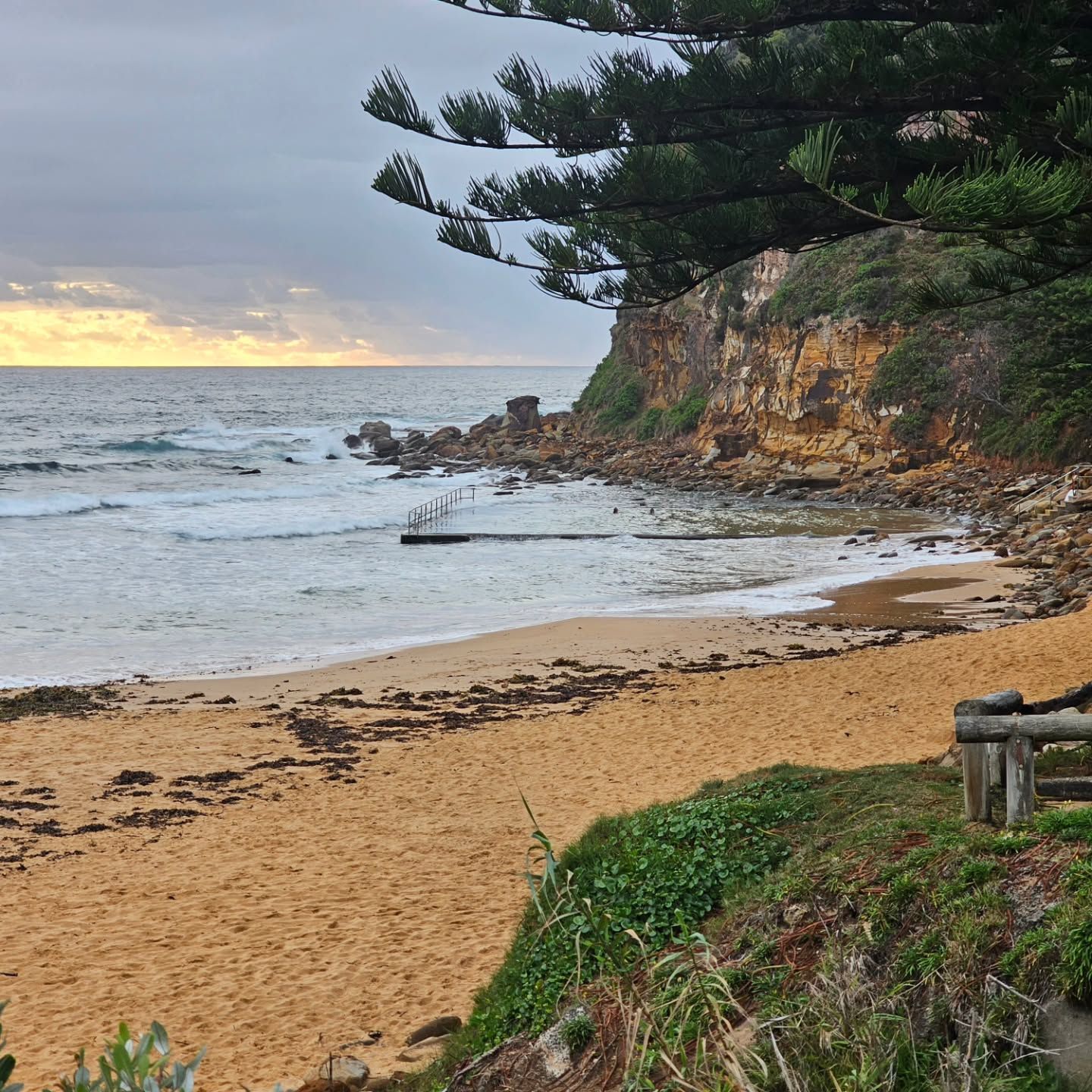 Rocky Coastline with Waves, Sandy Beach, and Pine Trees Under a Cloudy Sunset Sky — Craig Stevens Photography in Pearl Beach, NSW