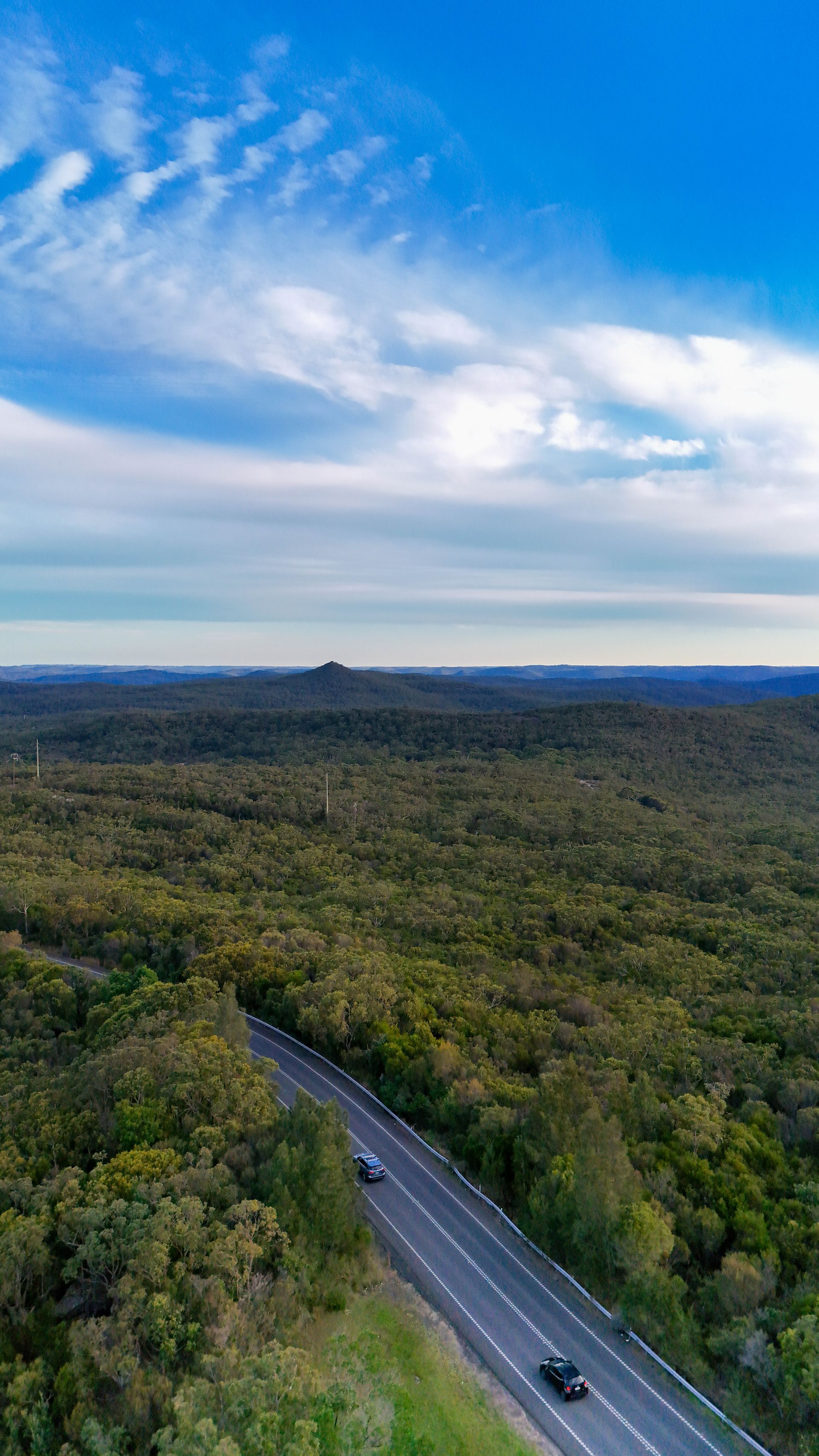 A lone car on a road through dense green forest under a sky — Craig Stevens Photography in Sydney, NSW