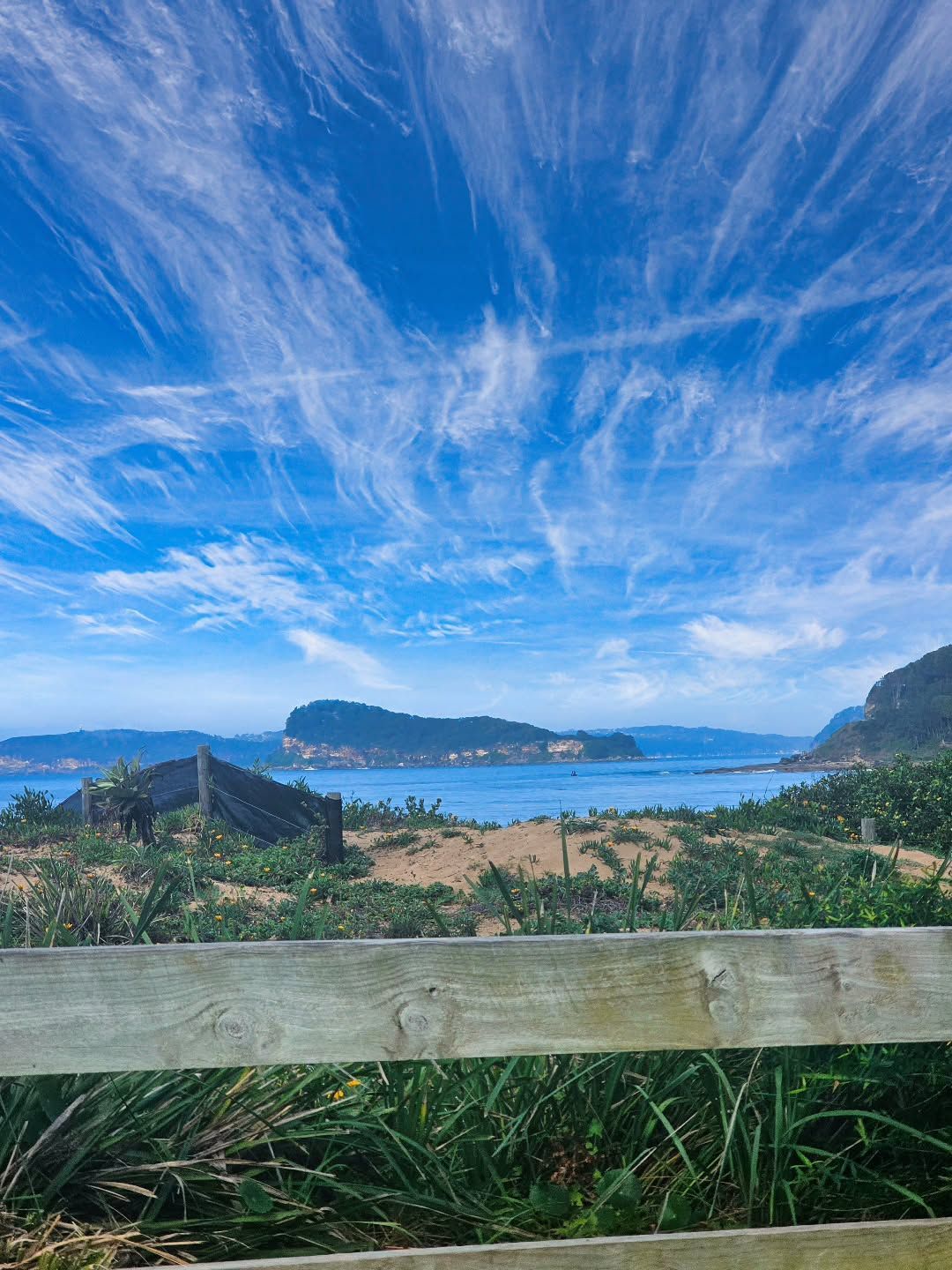 Beach and Ocean View With Blue Sky, Wispy Clouds, Grassy Foreground — Craig Stevens Photography in Sydney, NSW