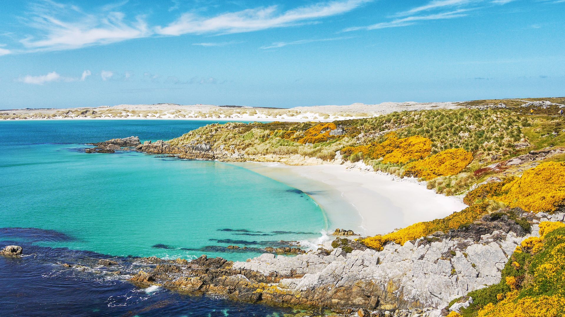 Gypsy Cove, Falkland Islands