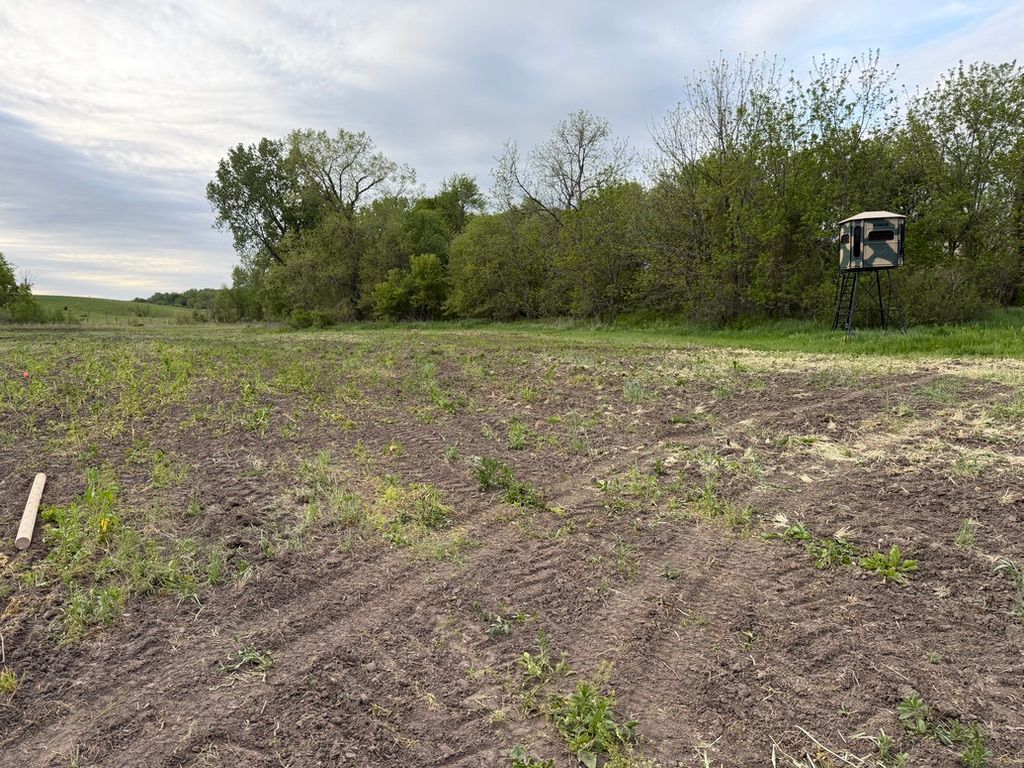 Rural dirt field with sparse green plants, trees along the edge, and a small drone hovering at right