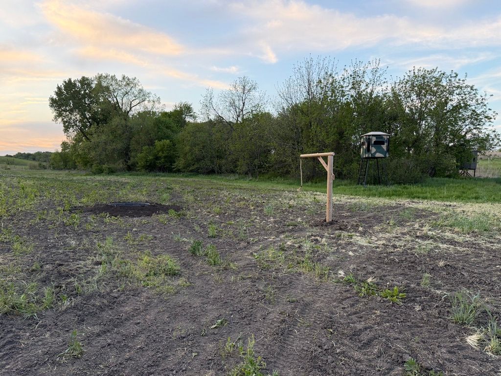 Rural field with muddy soil, a wooden post, and a small feeder near trees at dusk