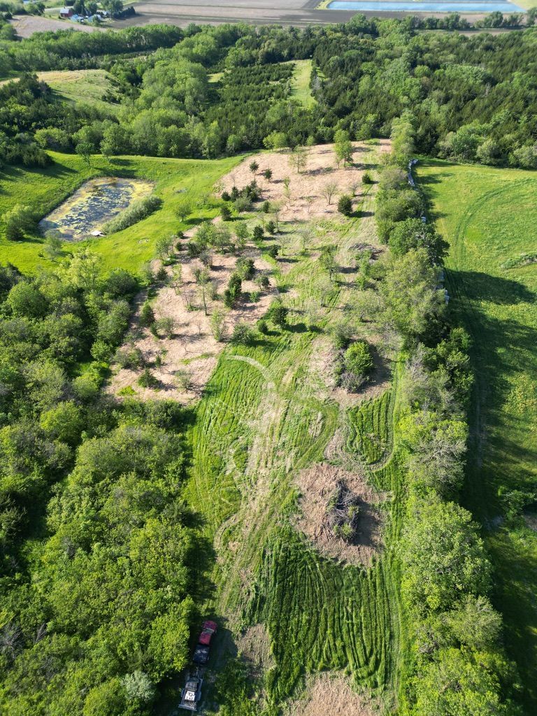 Aerial view of a narrow dirt path through dense green vegetation, with a small vehicle at the bottom
