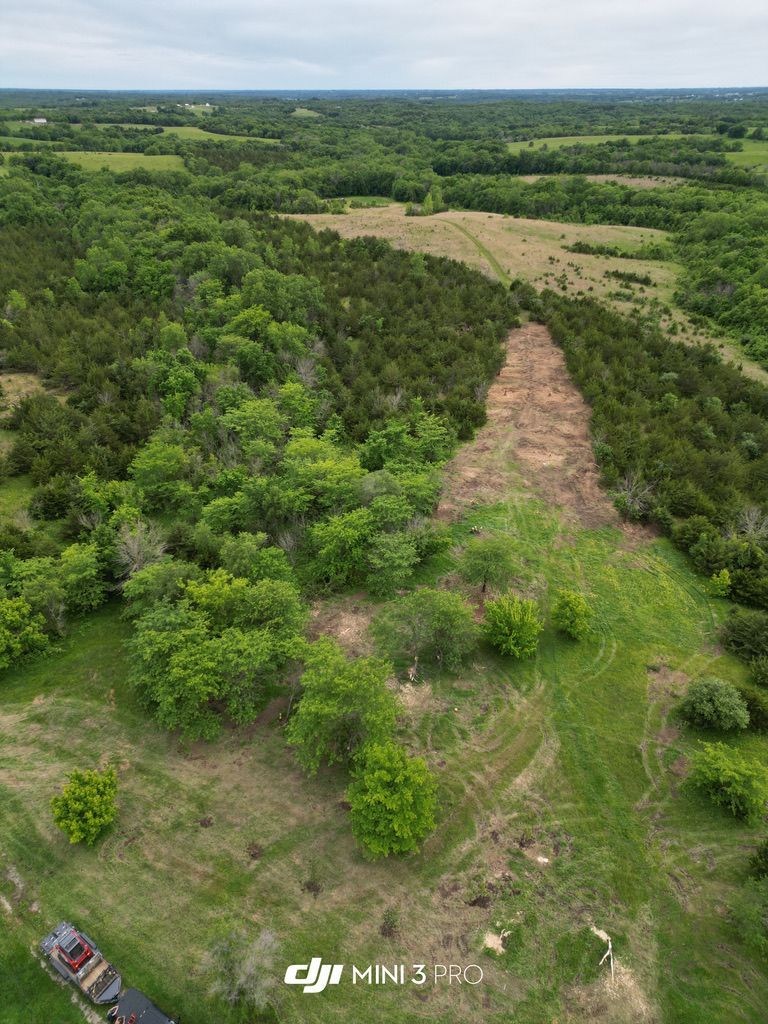 Aerial view of a lush green forest with a cleared strip running through the center under a cloudy sky