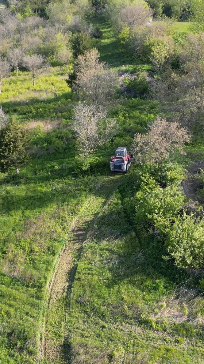 A small red tractor in a green orchard with trees and grassy rows, viewed from above.