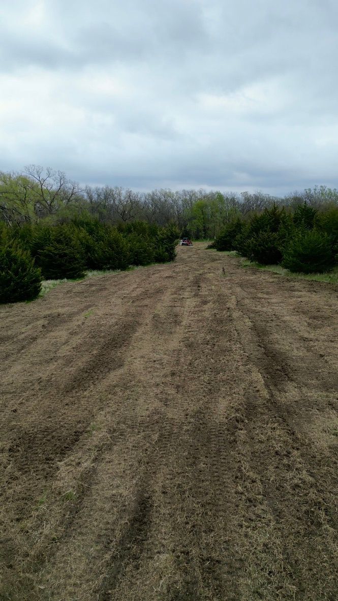 Dirt path through dense green bushes under a cloudy sky