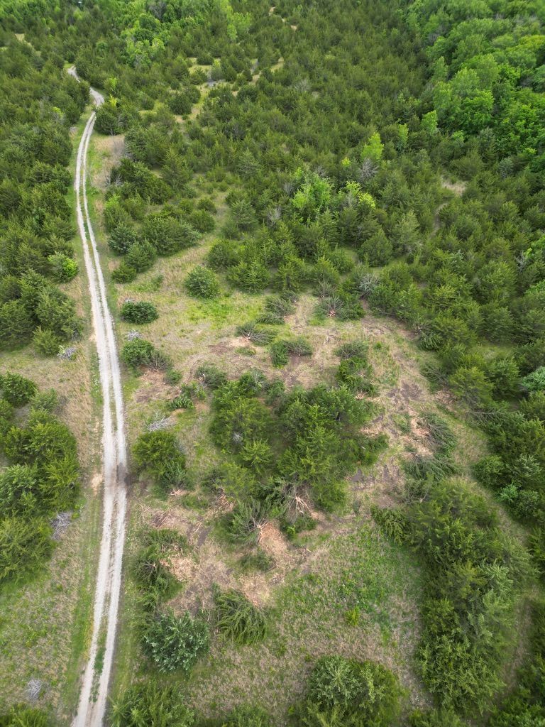Aerial view of a winding dirt road through a green forest with a cleared patch of land.