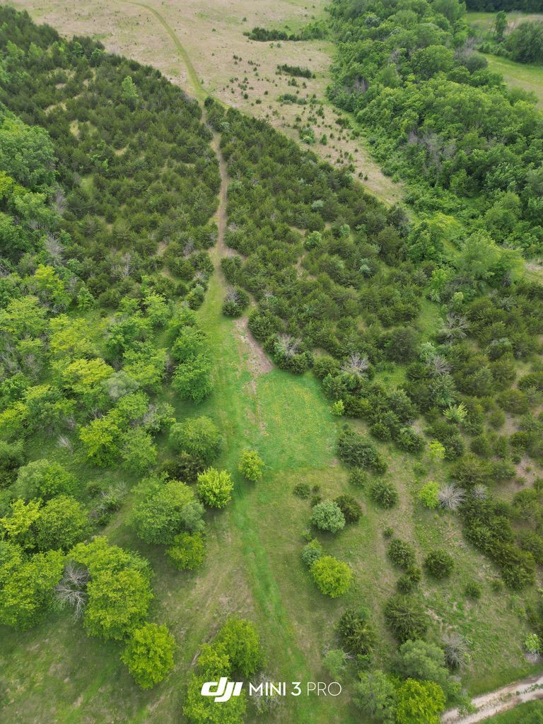 Aerial view of a green hillside with a narrow dirt path through dense trees and shrubs.