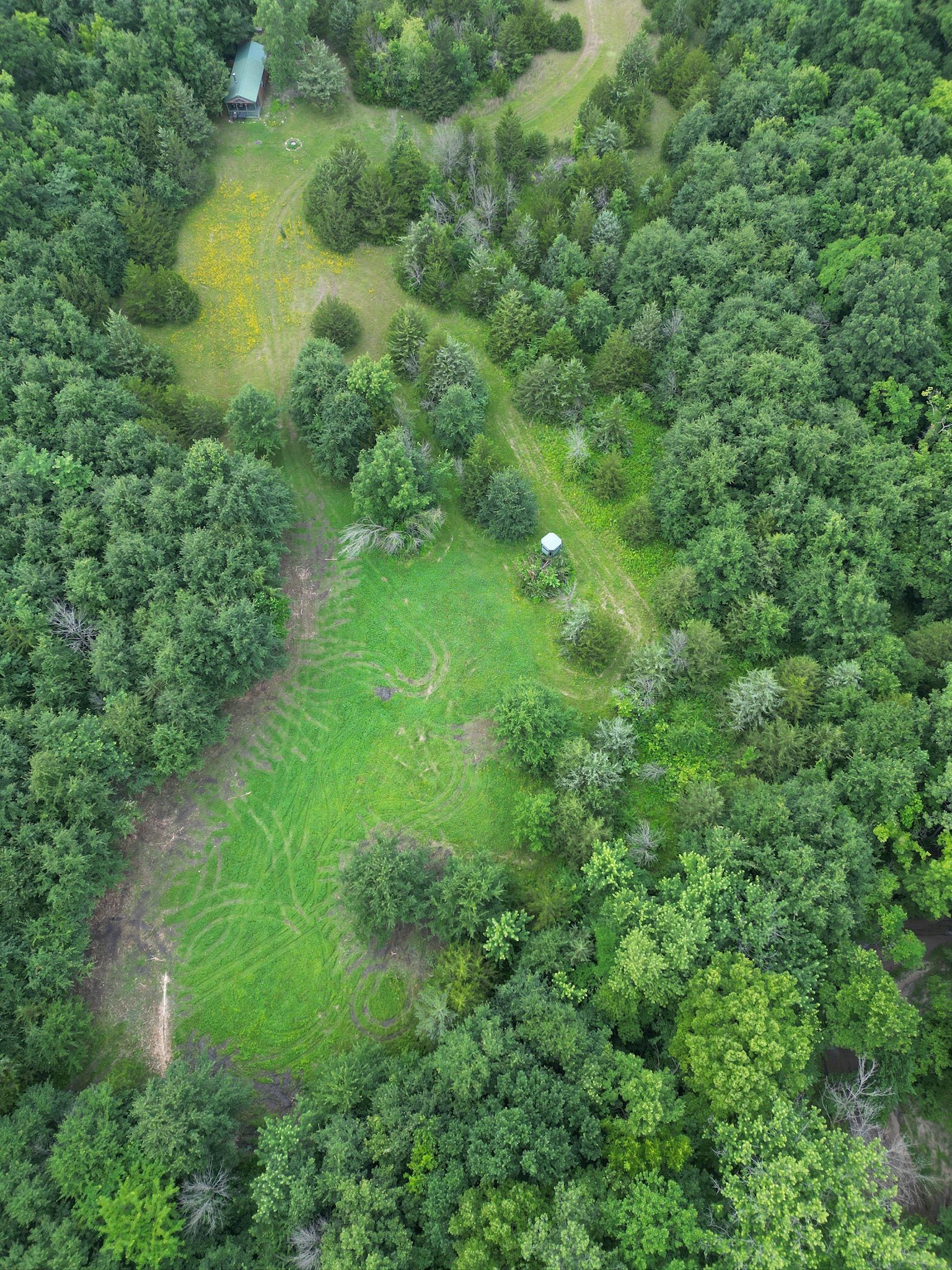 Aerial view of a green forest clearing with a small white object near the center