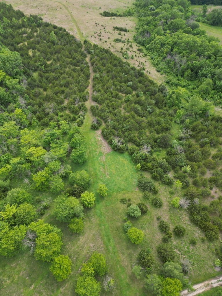 Aerial view of a green hillside with trees, shrubs, and a narrow dirt path running through the center