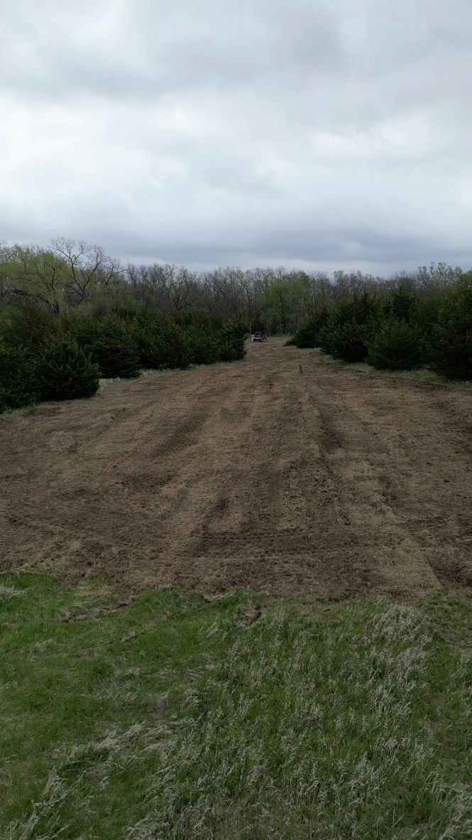 Dirt path leading through green bushes under a cloudy gray sky