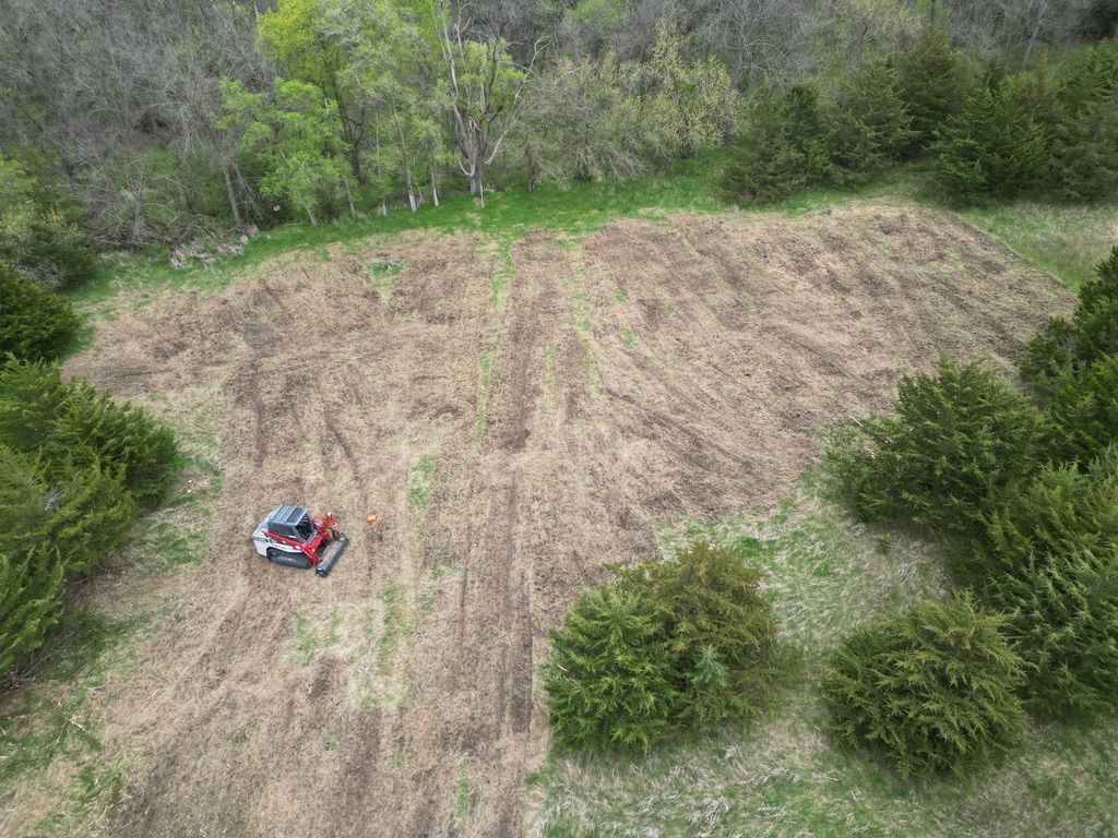 Small red mower on a grassy clearing surrounded by dense green trees and shrubs.