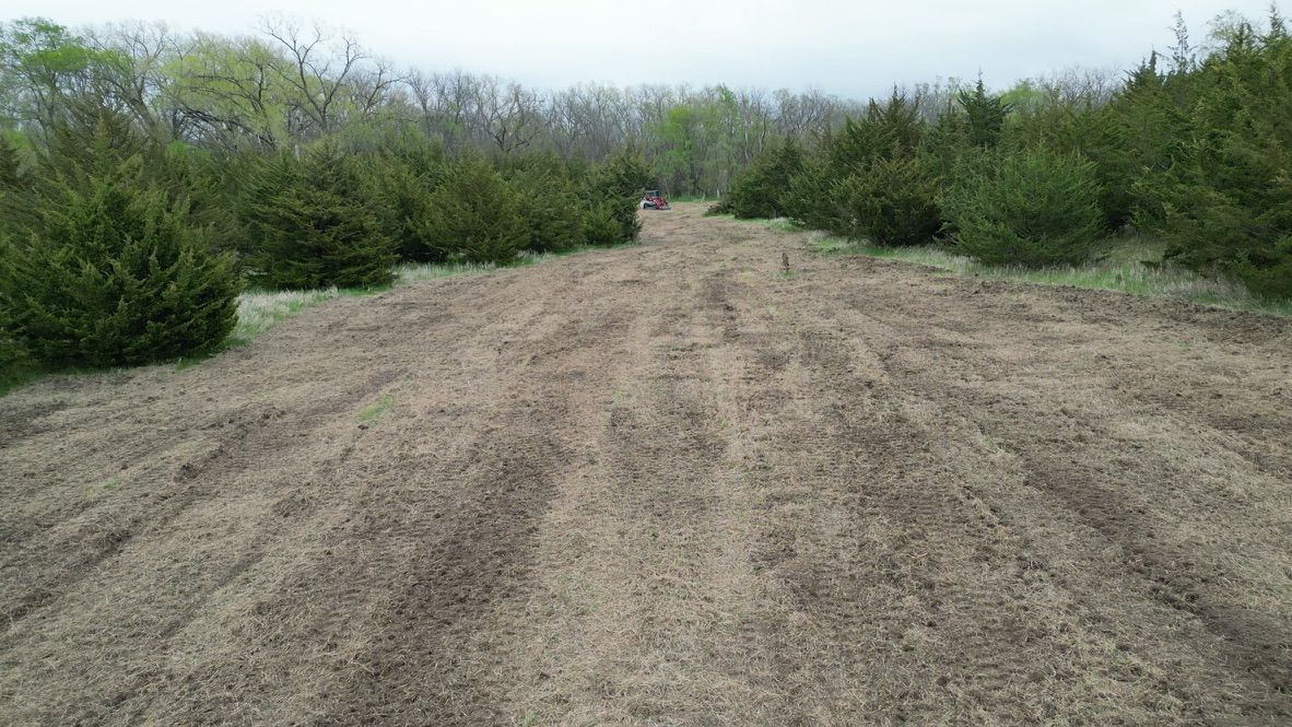 Rutted dirt path through dense green shrubs under a cloudy sky