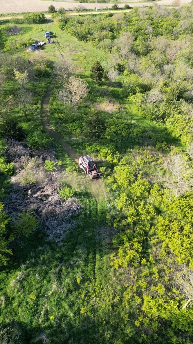 Aerial view of two people in a green, overgrown field with dirt paths and scattered shrubs.