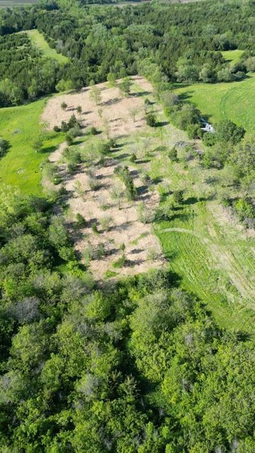Aerial view of a sandy clearing surrounded by dense green forest.
