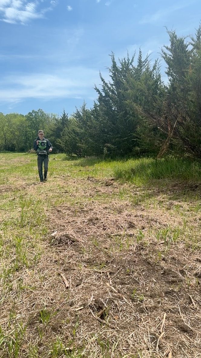 Person standing in a grassy field beside trees under a blue sky.