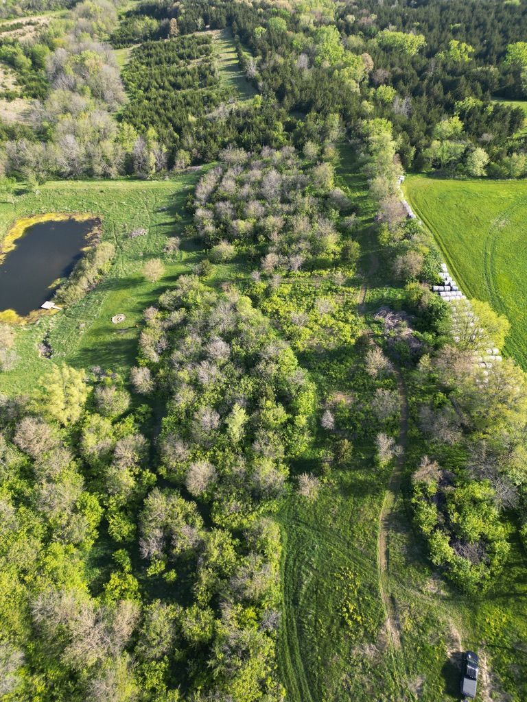Aerial view of a rural landscape with orchards, green fields, a pond, and a dirt road with a vehicle