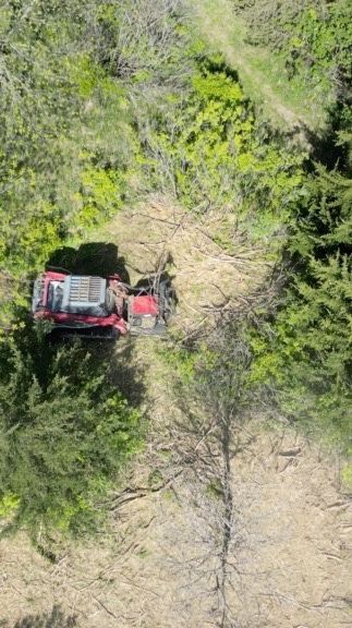 Red off-road vehicle on a narrow dirt trail surrounded by dense green vegetation