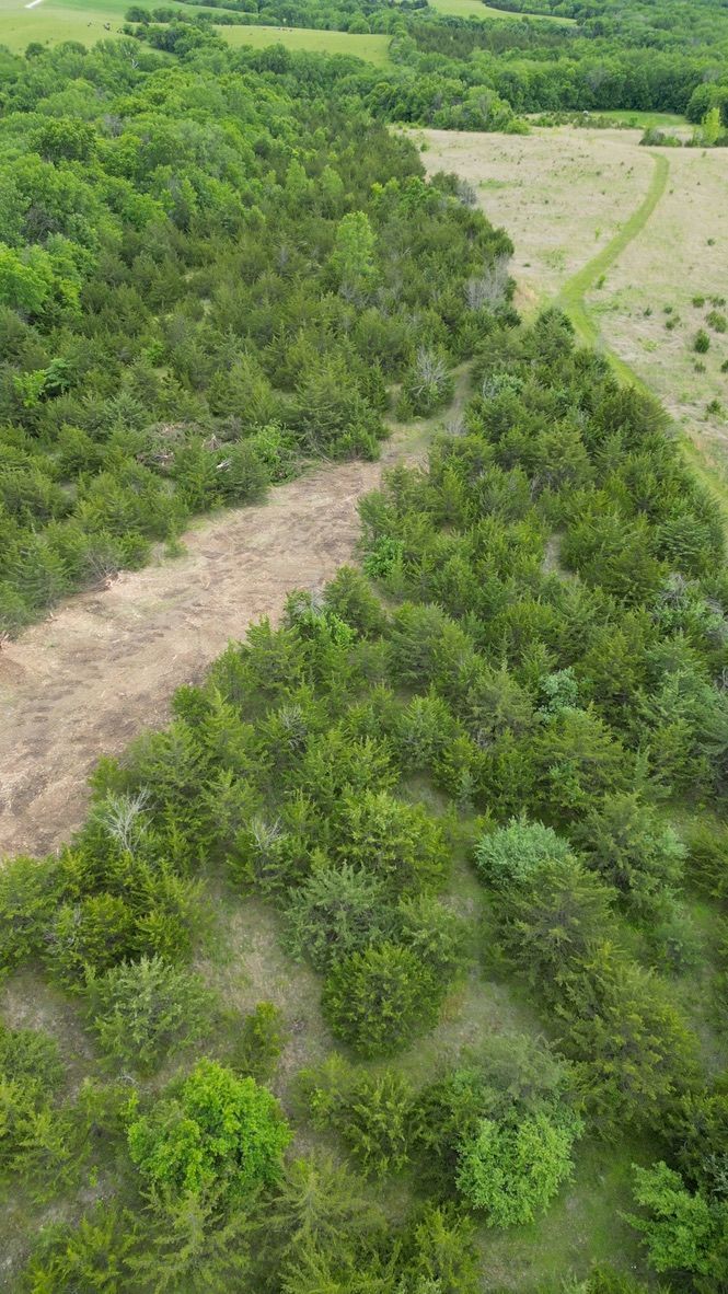 Aerial view of a green forest with a dirt path cutting through it and open fields in the distance.