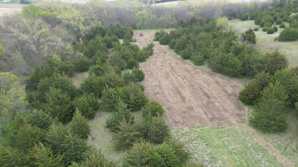 Cleared dirt path through dense green shrubs and trees in a field