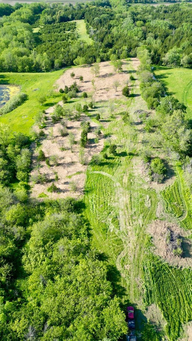 Aerial view of a rocky, overgrown trail through green forest, with a person in red near the bottom.