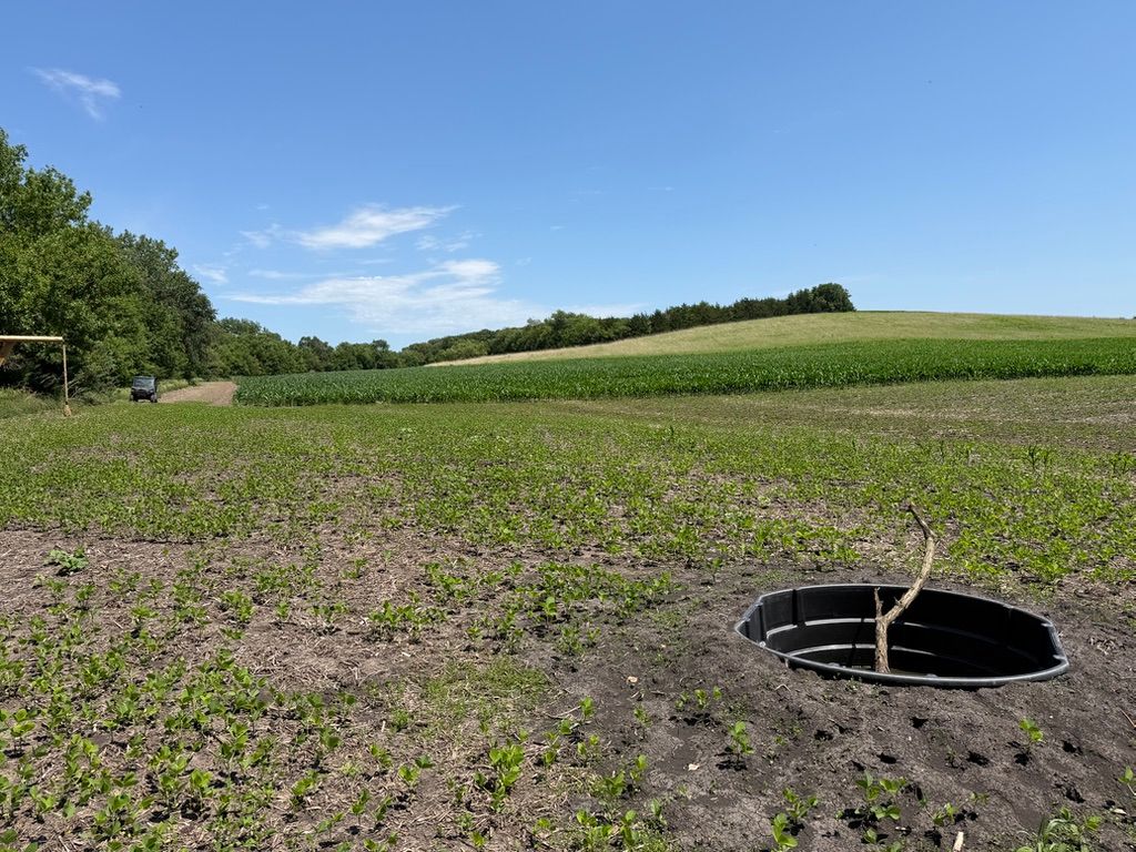 Wide green field under blue sky with a black circular drainage hole in the foreground