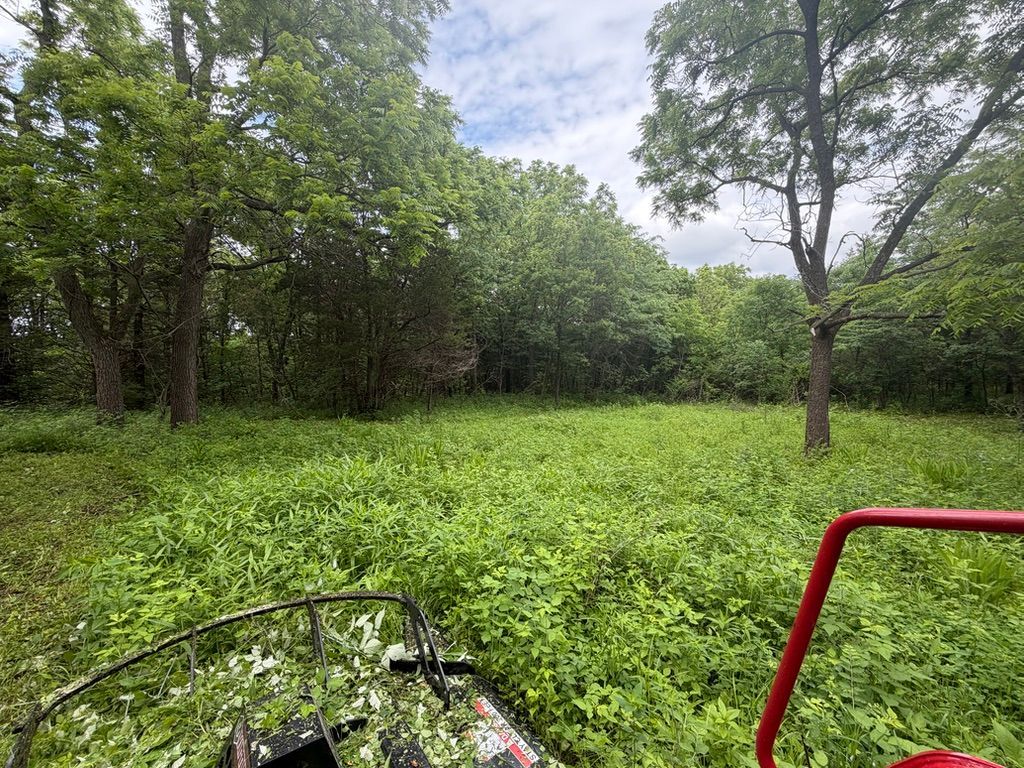 Overgrown green field bordered by trees, seen from a mower with a red handle in the foreground