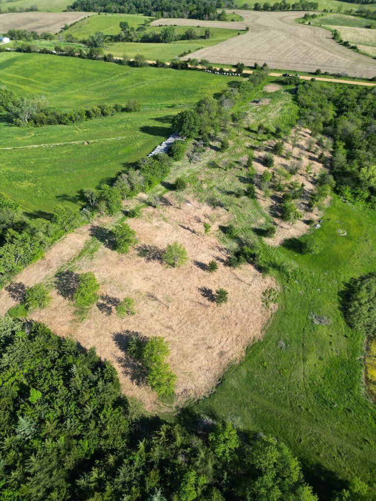 Aerial view of green fields with a large tan patch of dry or dead vegetation near a hedgerow