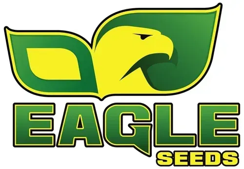 Green and yellow Eagle Seeds logo with stylized eagle head and bold text on white background