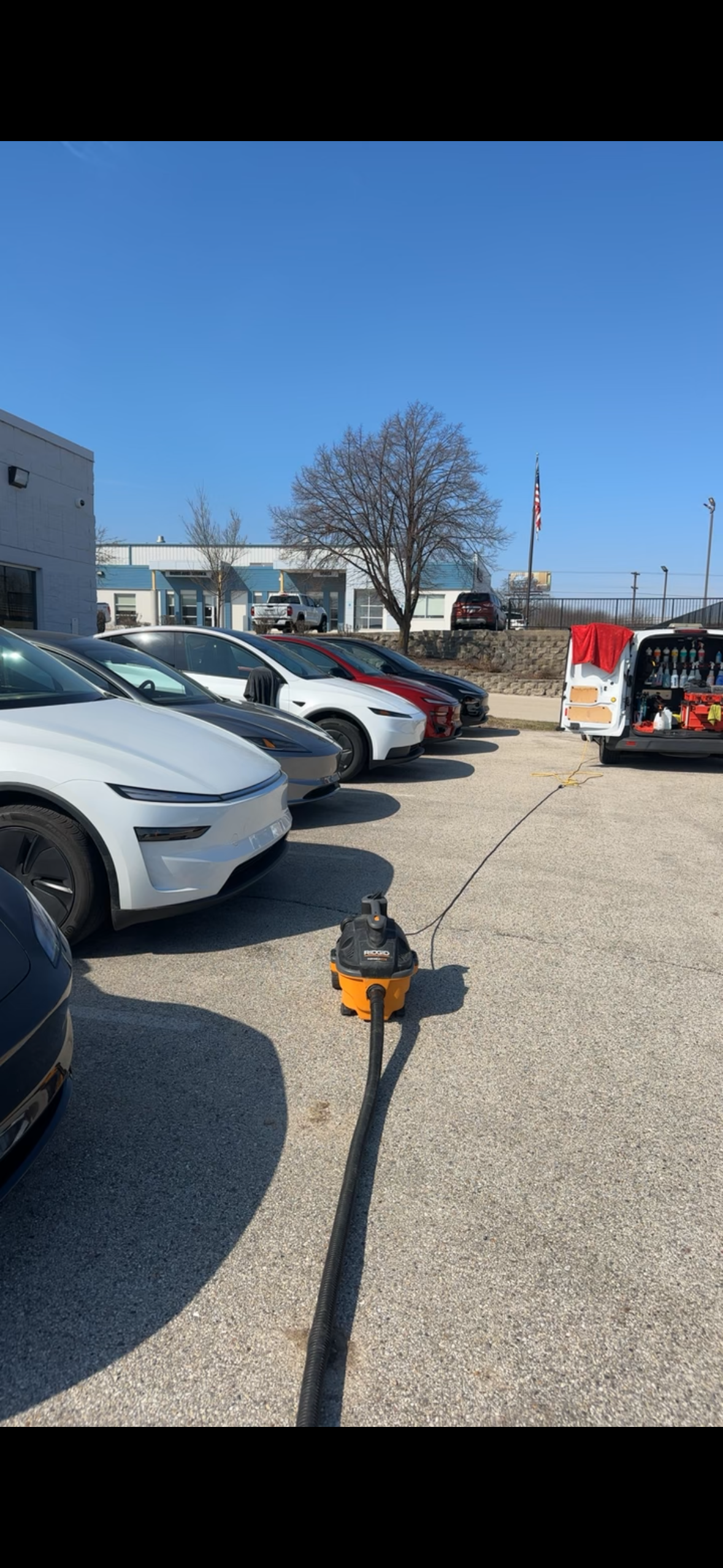 Parking lot with parked cars, a leafless tree, and a blue sky on a sunny day