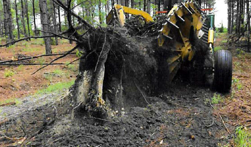 Site Work Jacksonville, FL Shaw's Land Clearing LLC