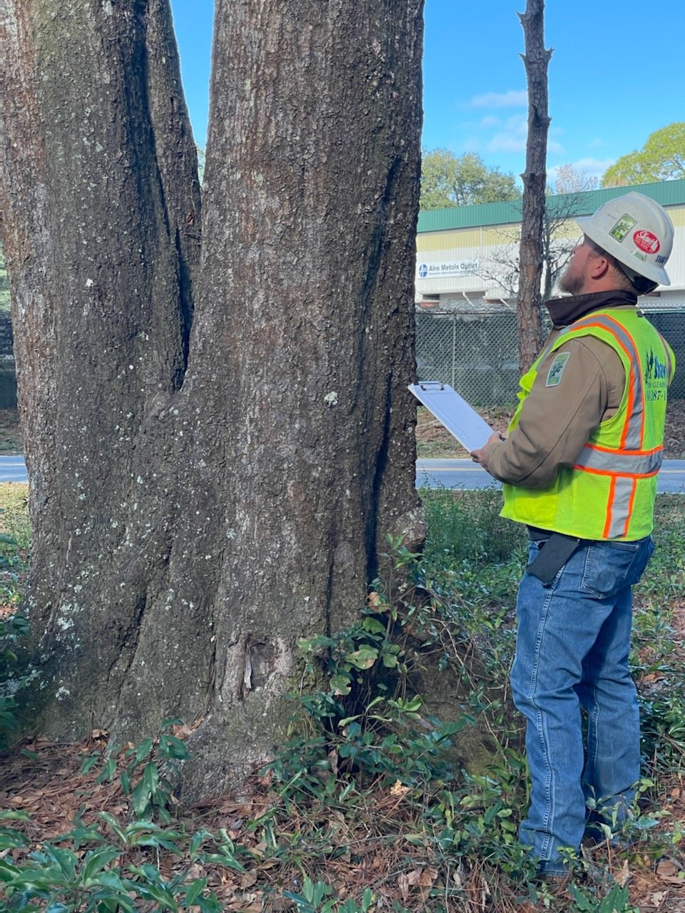 Certified Arborist Jacksonville, FL Shaw's Land Clearing LLC