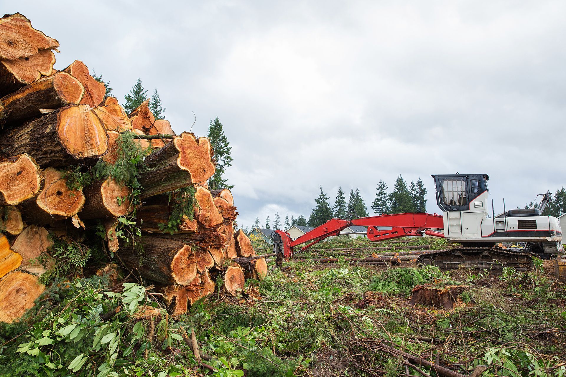 Logging equipment beside a large stack of cut logs in a clear-cut forest area