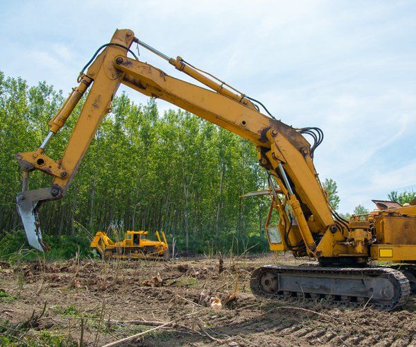 Yellow excavator digging in a cleared forest area, with another machine in the background.