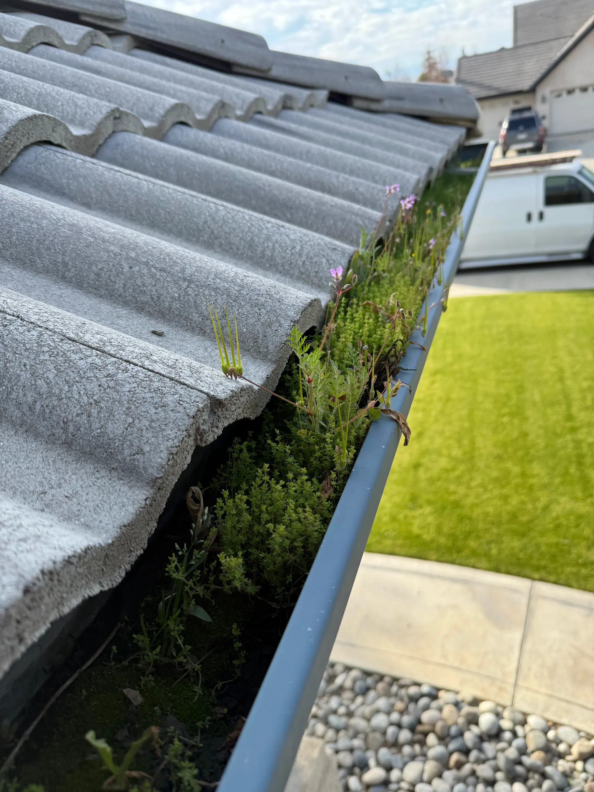 Gutter overflowing with green plants and debris, next to gray roof tiles and artificial turf.