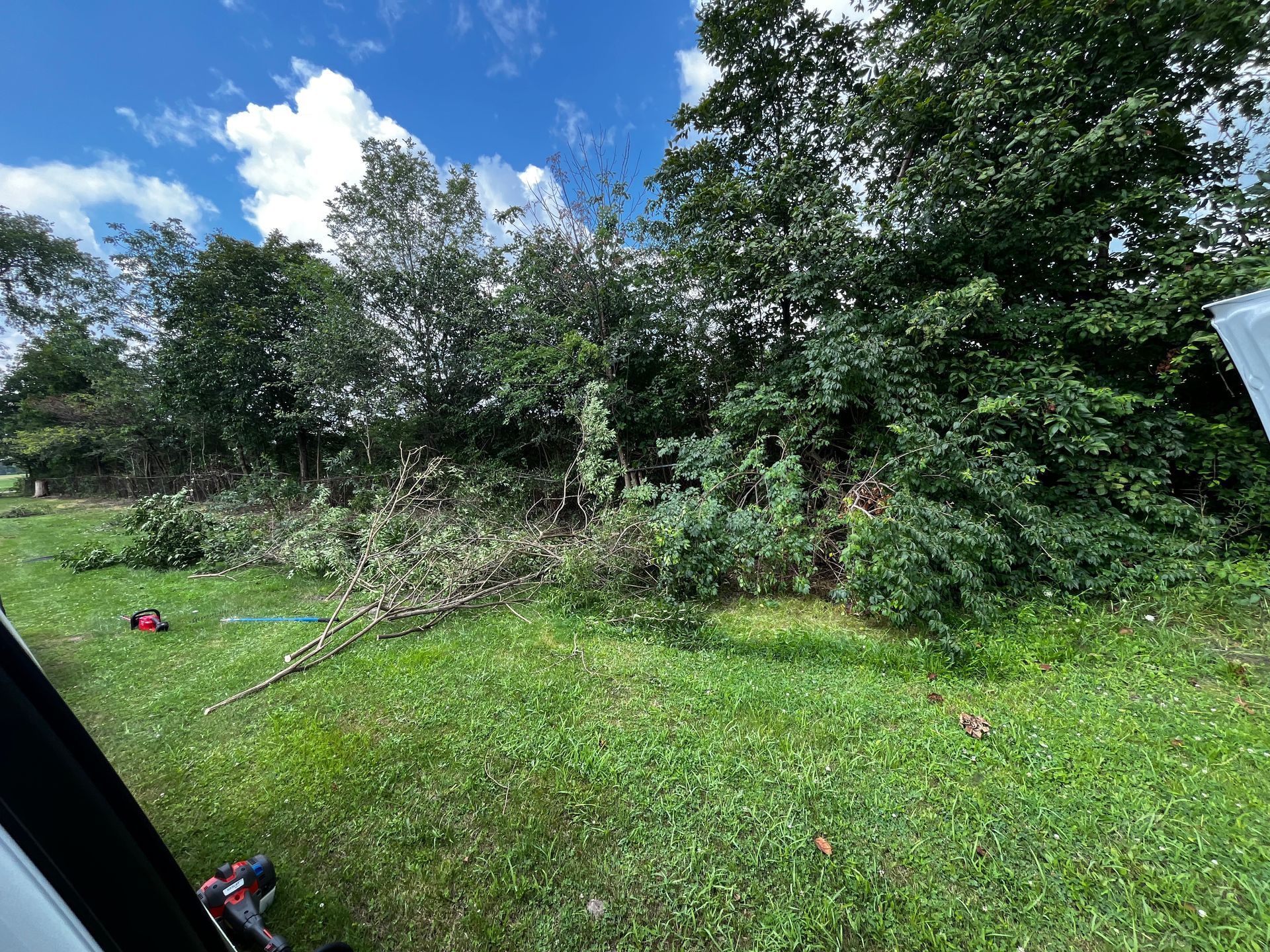 Grassy backyard with trees and bushes under a blue sky, with a hose lying across the lawn.