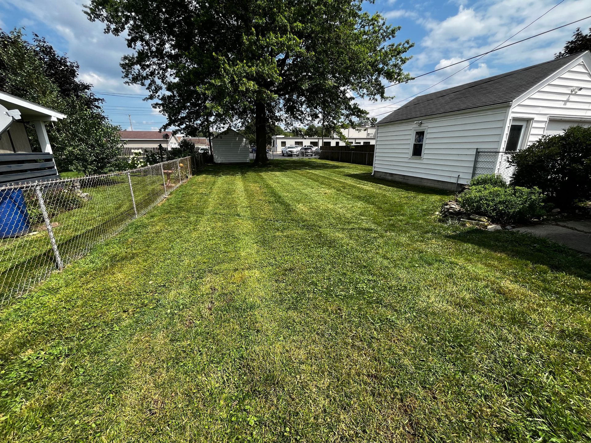 Person using a string trimmer along a sidewalk beside grass