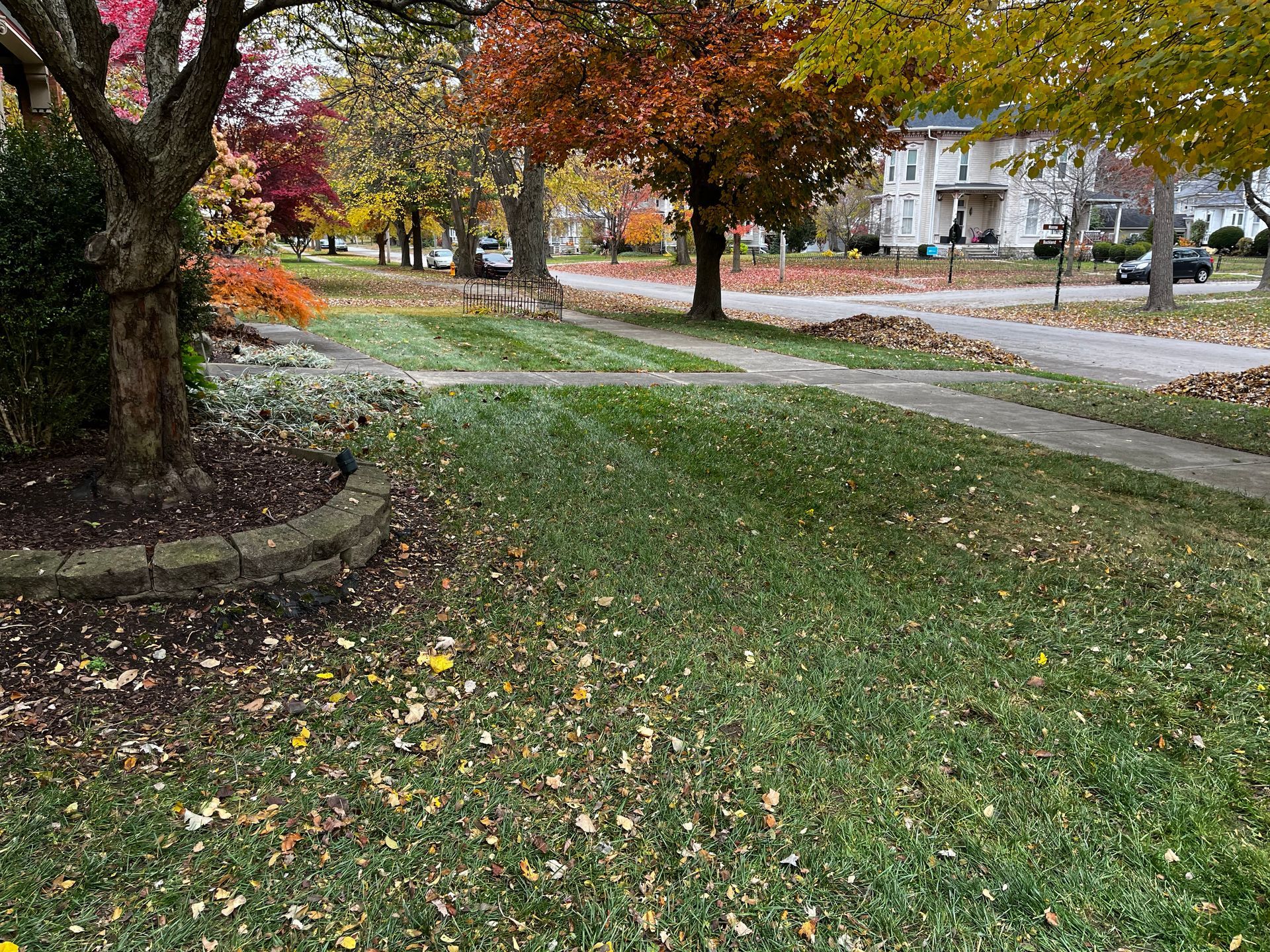 Autumn park lawn with colorful trees, fallen leaves, and a sidewalk beside a quiet street