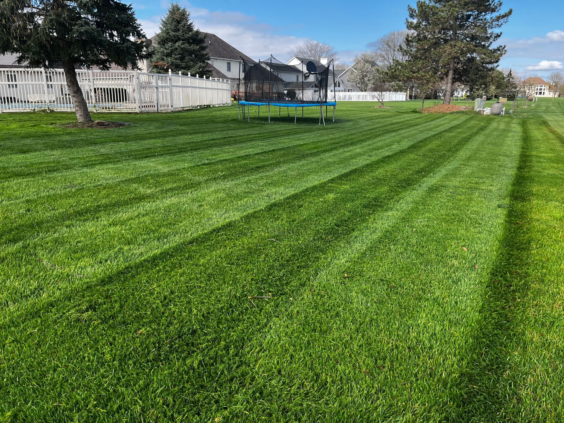 Green striped lawn with a small trampoline, white fence, and trees under a clear blue sky