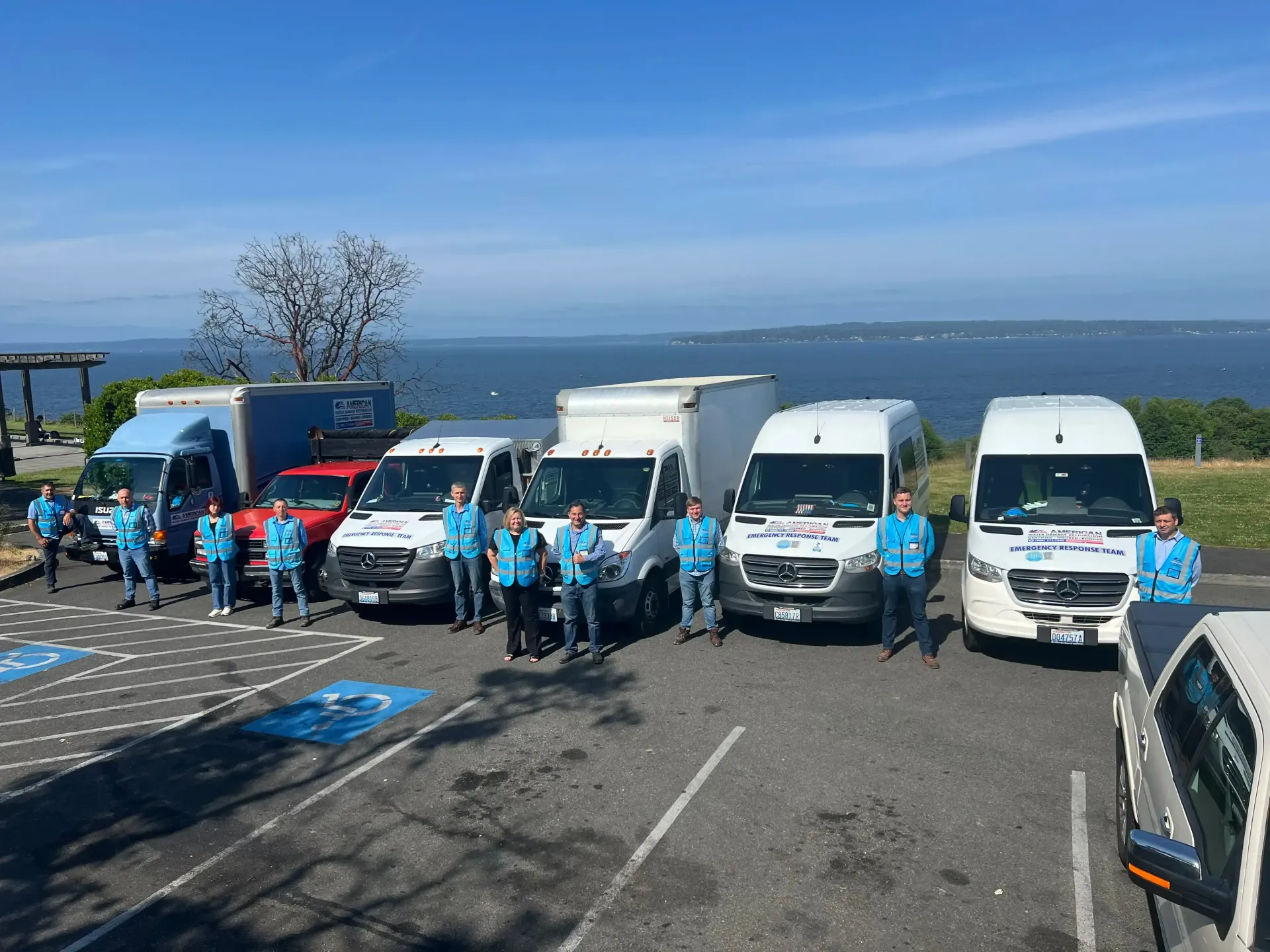 A group of people standing in front of a row of vans.