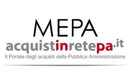 logo mepa