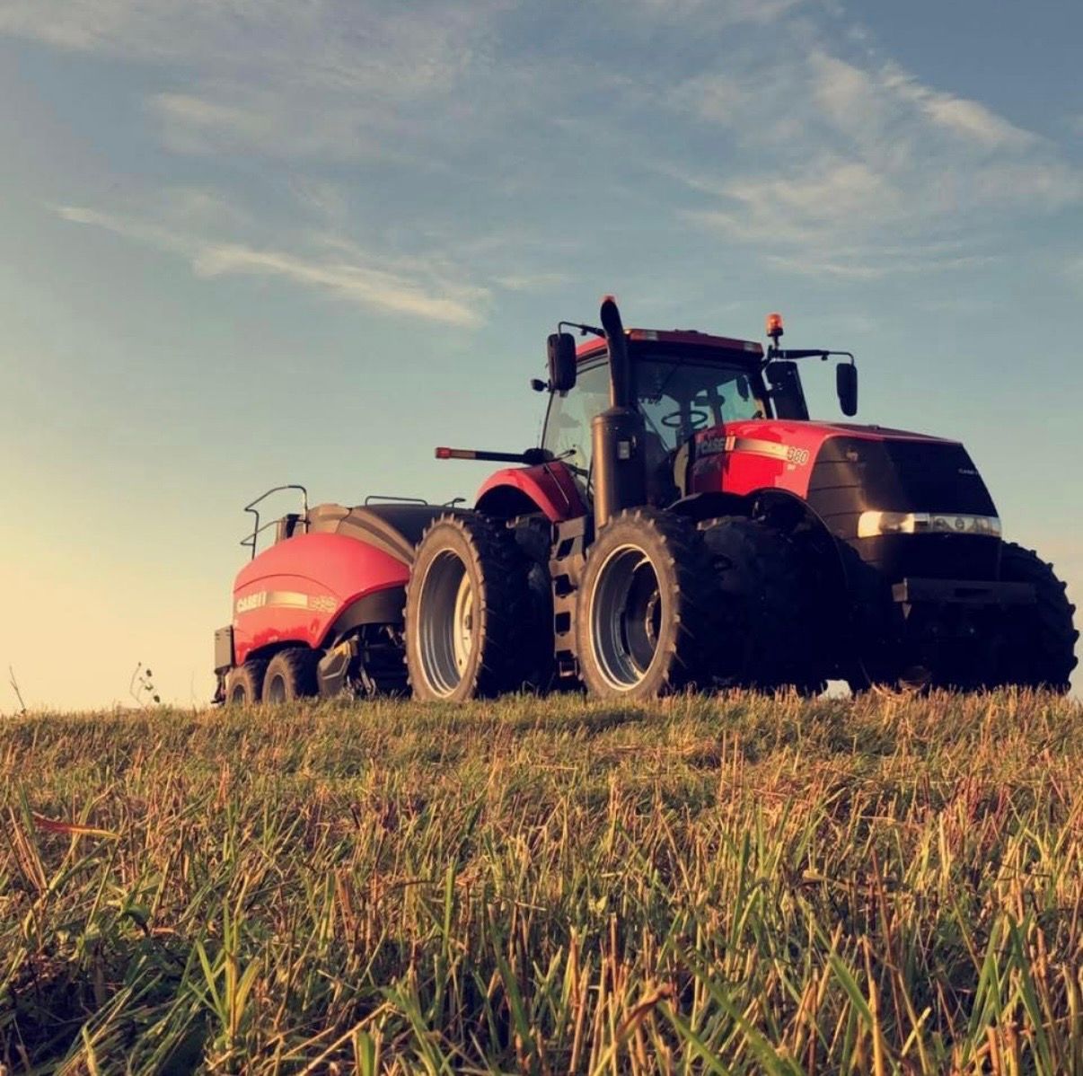 Two red tractors harvesting a wheat field on a sunny day.