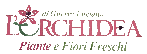 logo orchidea