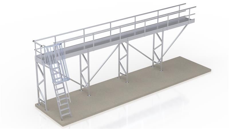 elevated walkway with a caged ladder