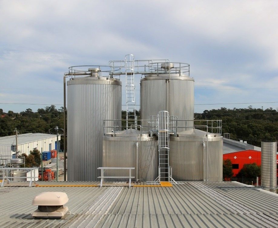 tank and silos access systems and ladders