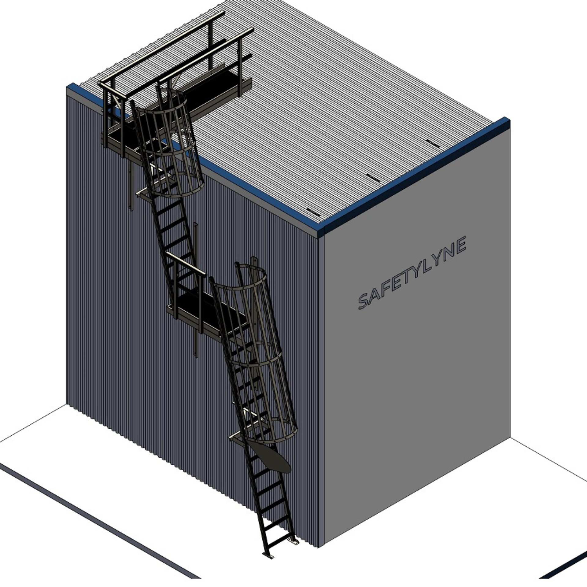 Roof Access Caged Ladder System